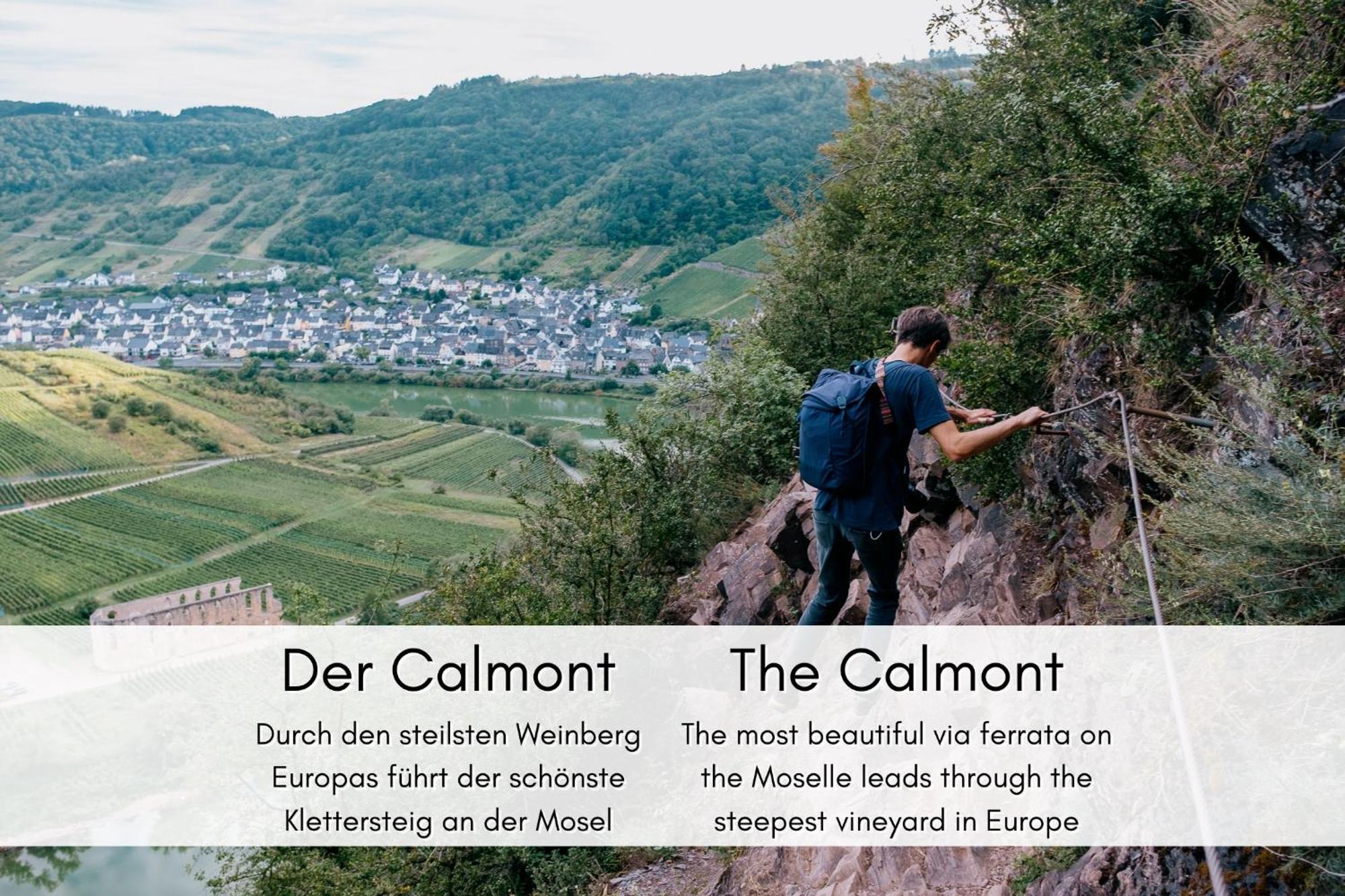 Winzerhaus Am Calmont - Moselidyll Im Winzerhaus Apartment เบรมม์ ภายนอก รูปภาพ
